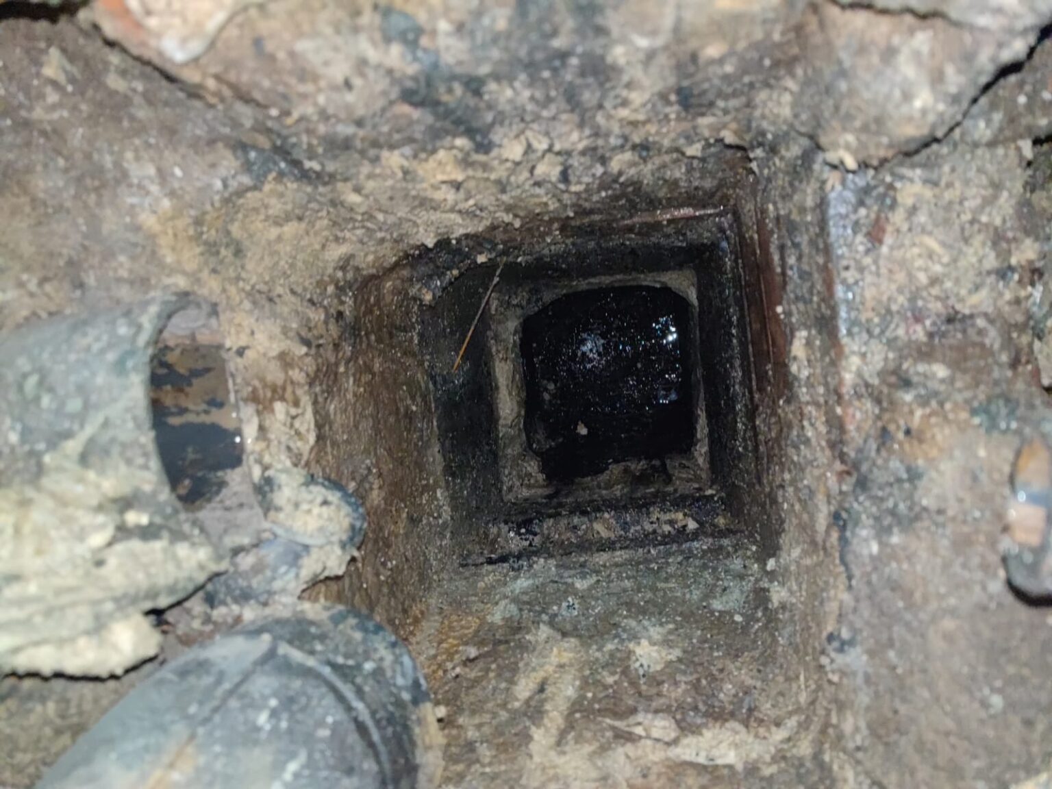 20 Años de Experiencia y Eficacia